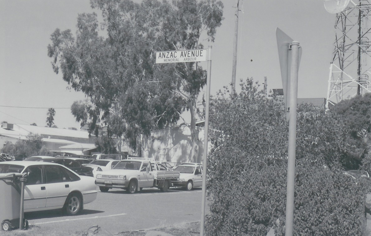 Anzac Parade Trees, Narrabri photo 1