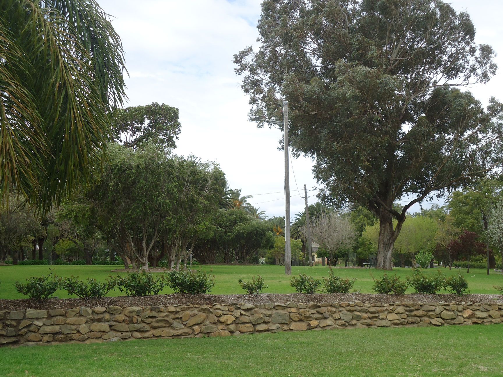 Anzac Park Tamworth photo 1