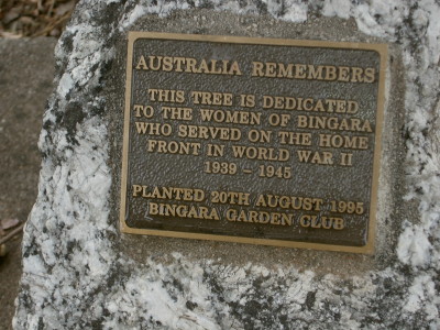Bingara Australia Remembers Tree photo 1