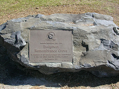 Budgewoi Remembrance Grove photo 1