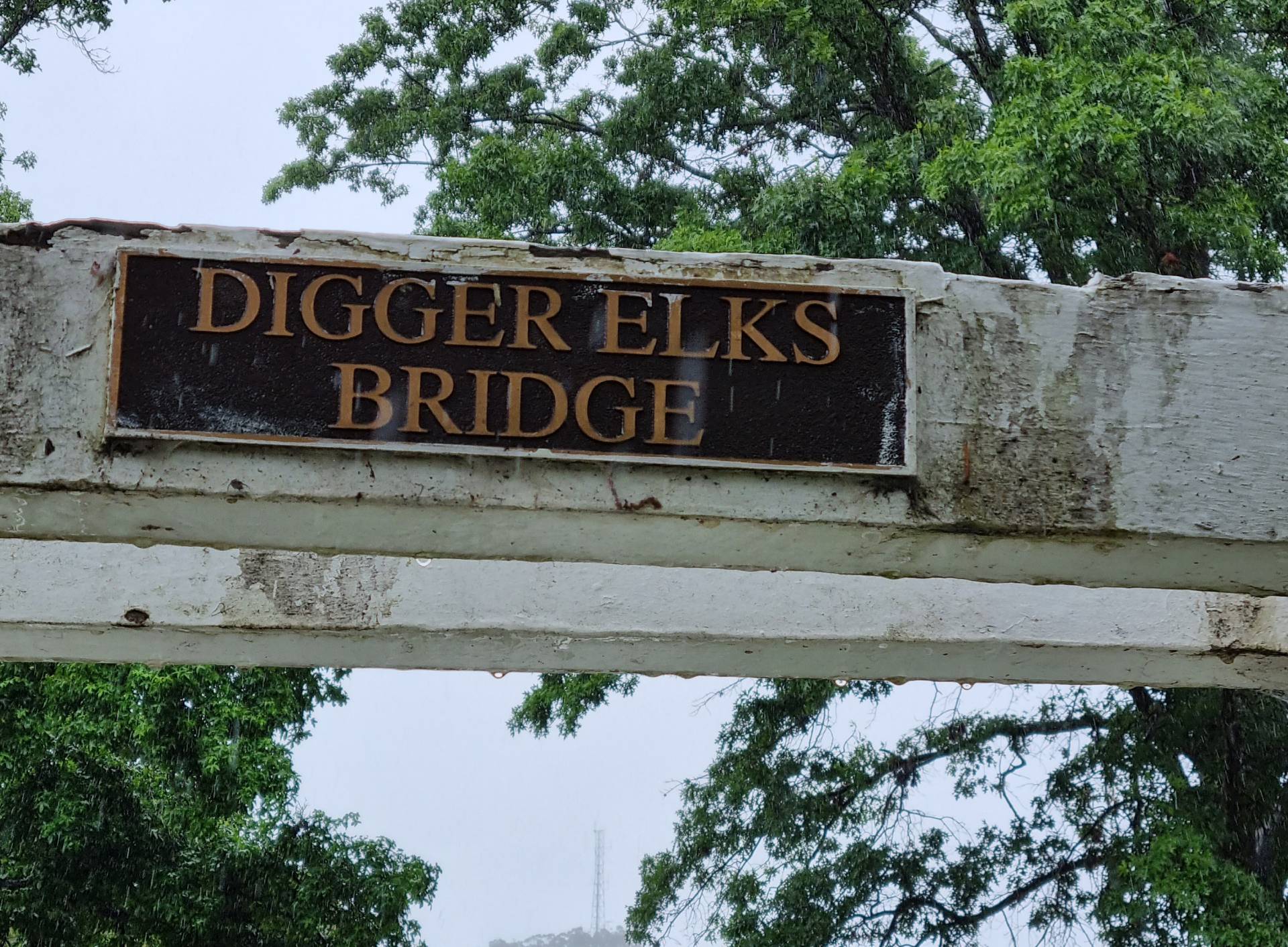 Digger Elks Memorial Bridge photo 1