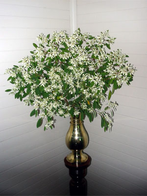 Frank and Fred Gallagher Memorial Vases photo 1