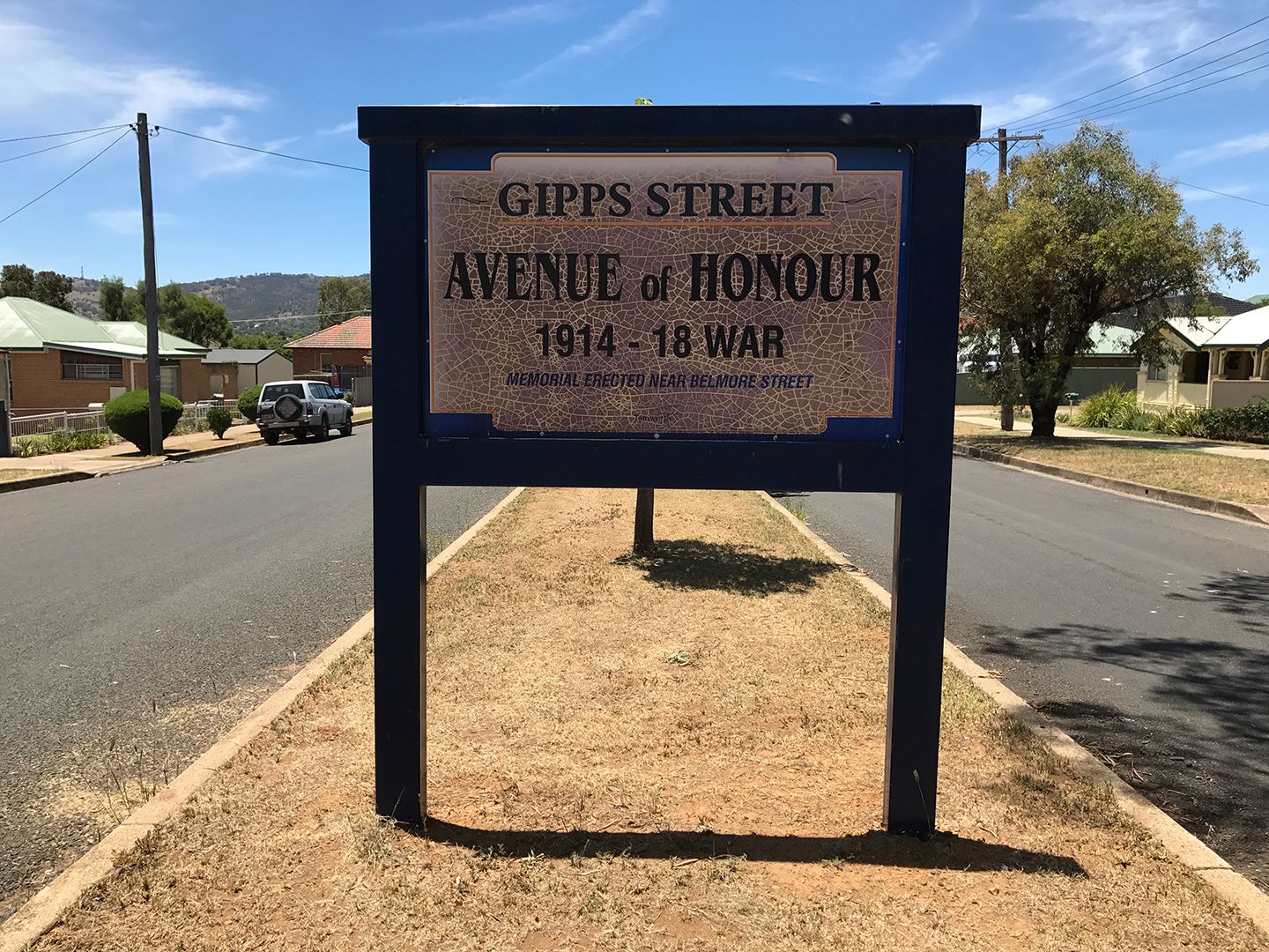 Gipps Street First World War Avenue of Honour, Tamworth photo 1