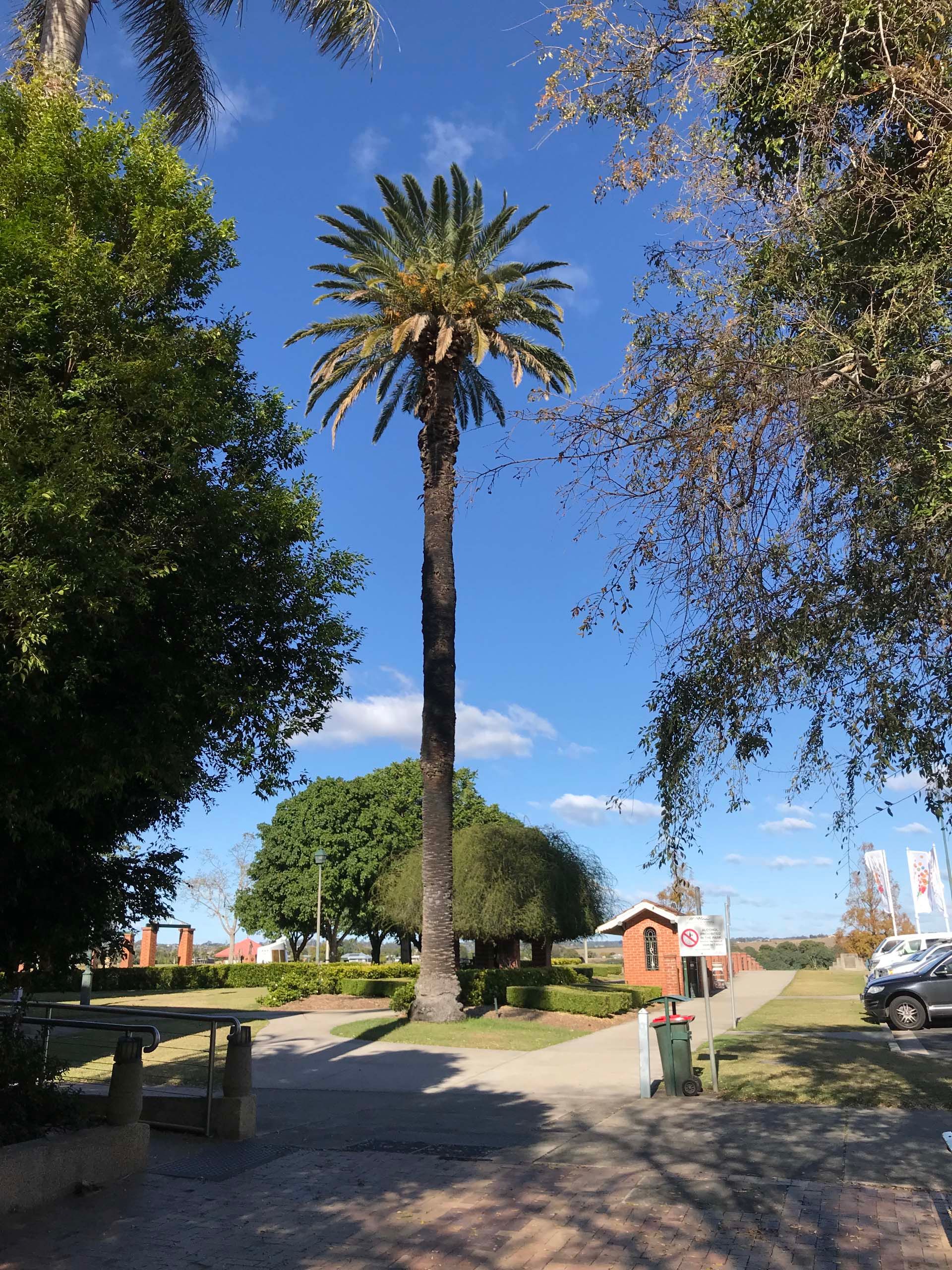 Grafton Memorial Park photo 1
