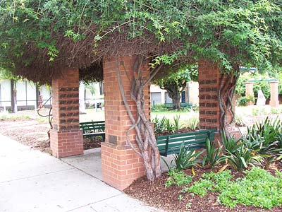 Grafton Remembrance Walk photo 1