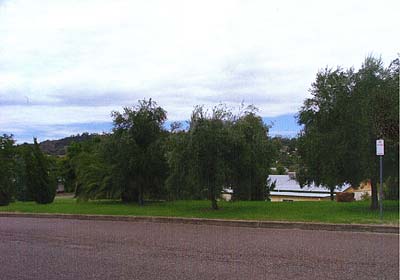 Gunnedah Remembrance Grove photo 1