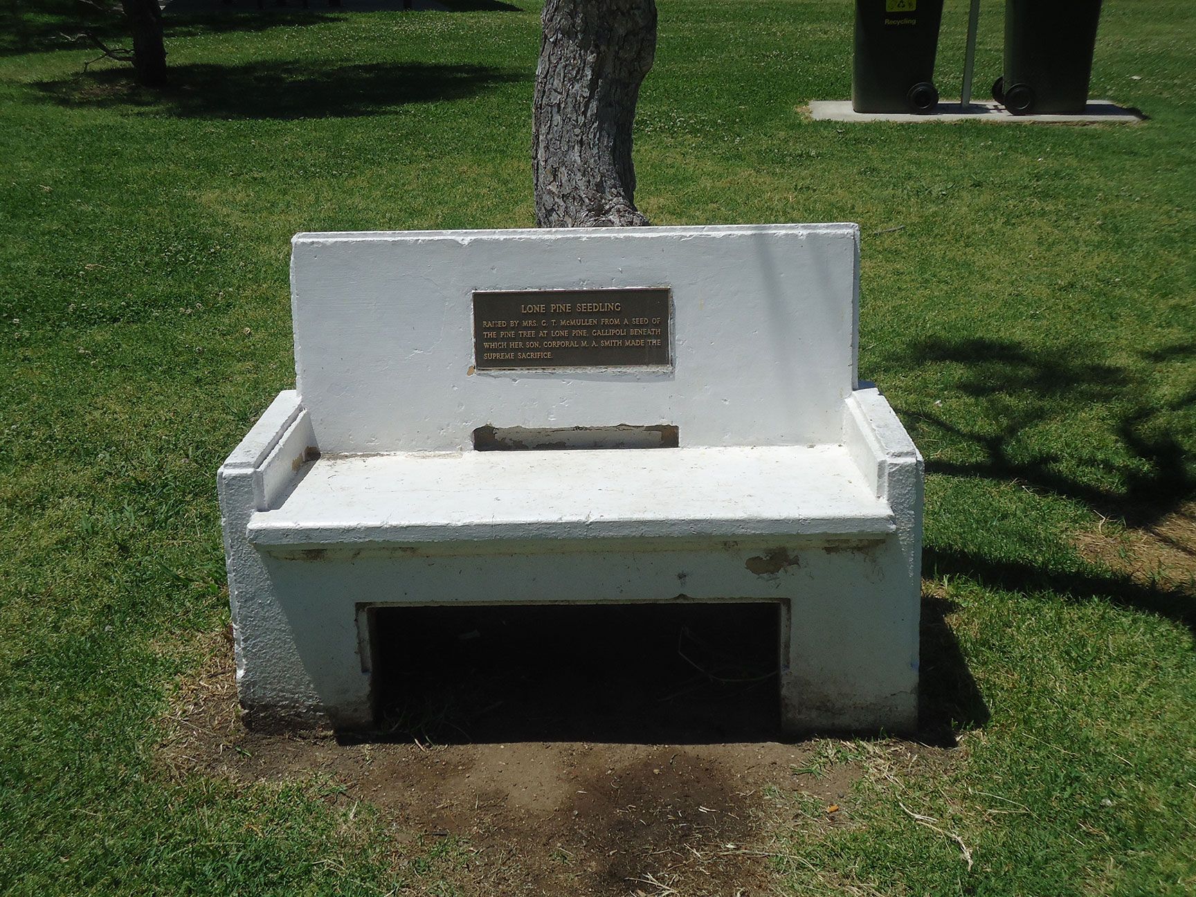 Inverell Lone Pine photo 1