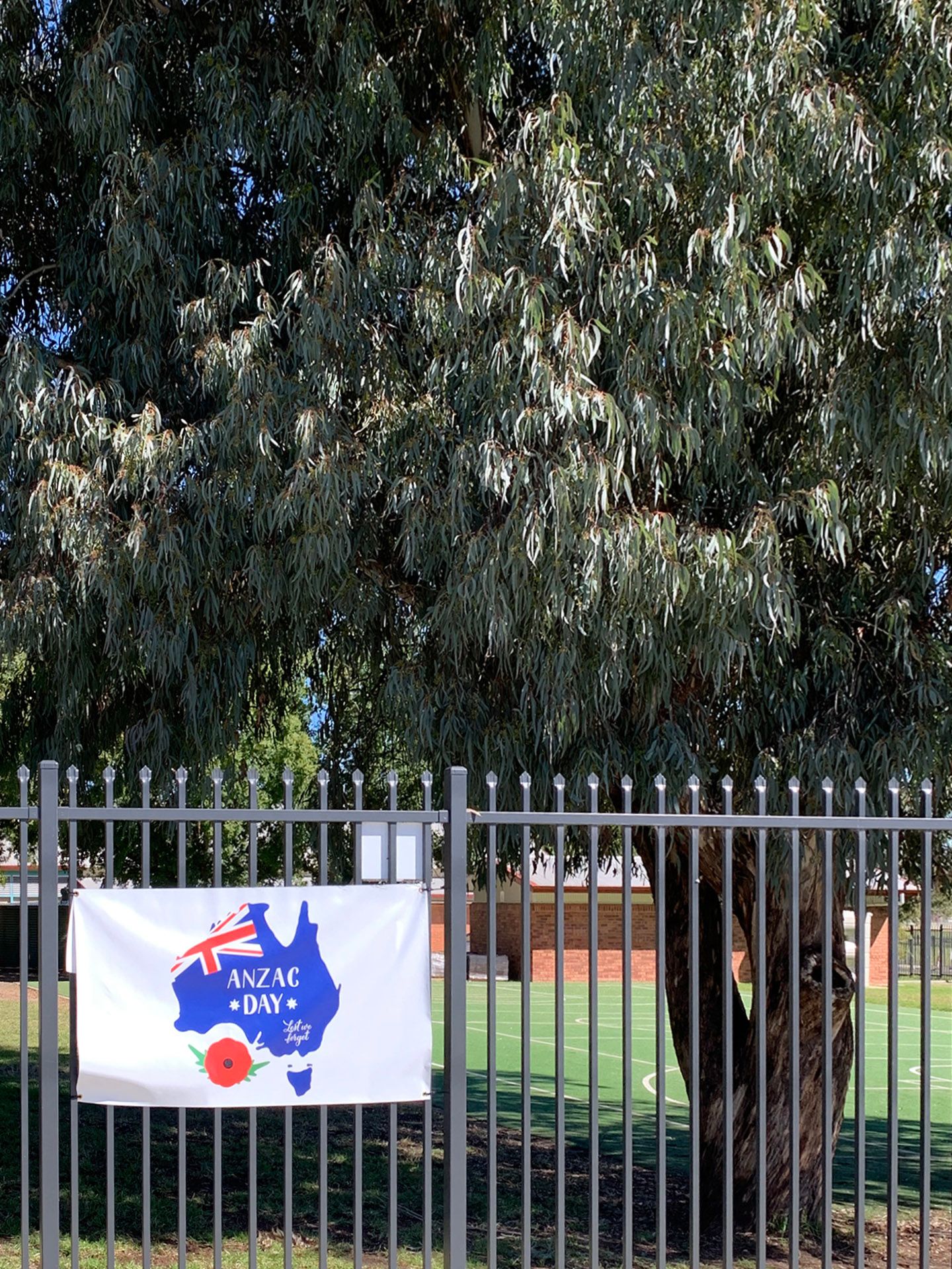 Inverell Public School Second World War Memorial Trees photo 1