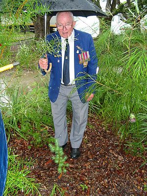 Kahibah Public School Lone Pine photo 1
