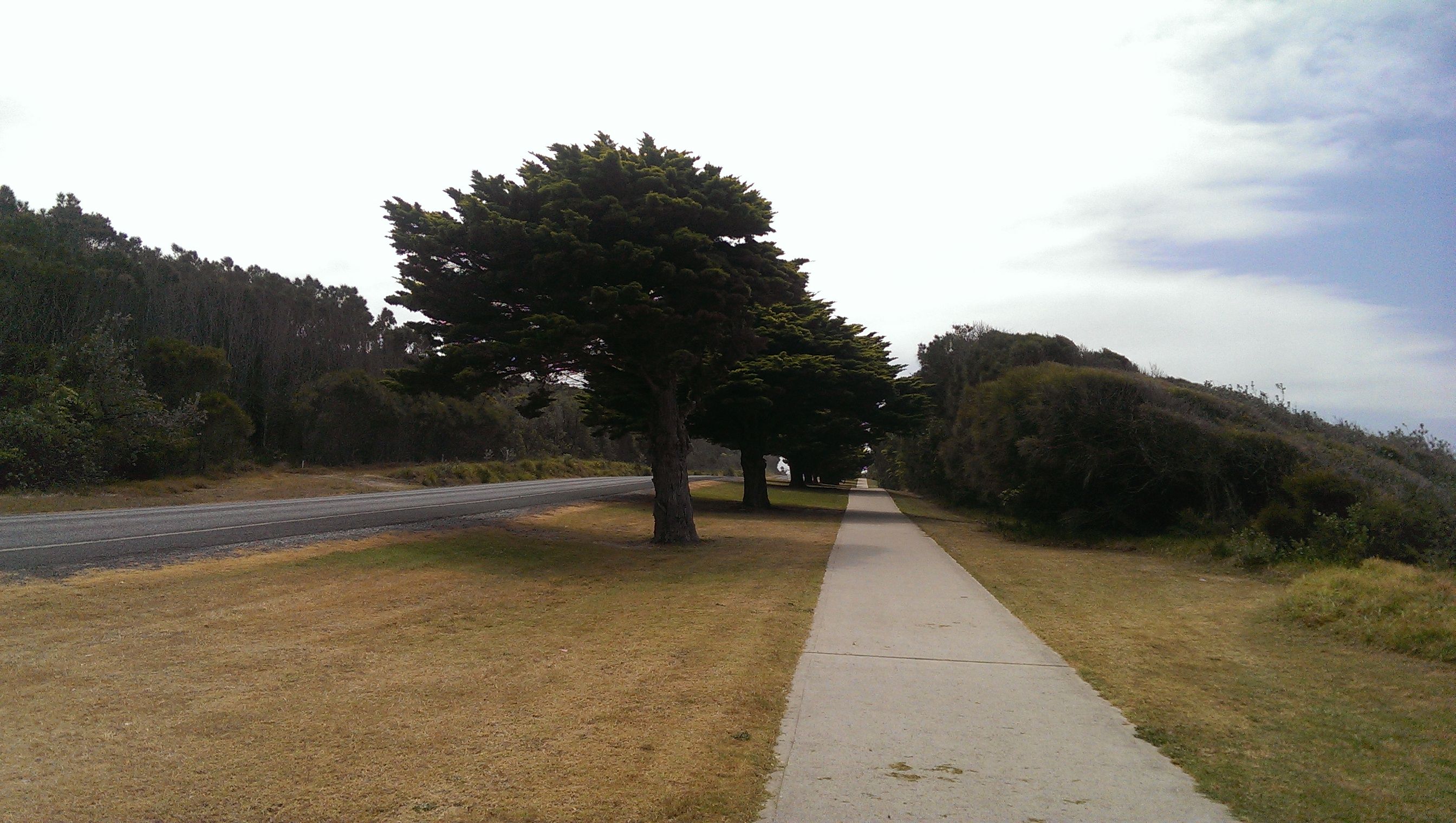 Kianga/Dalmeny Anzac Memorial Avenue photo 1