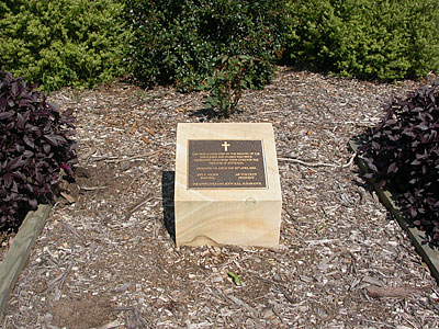 Killarney Vale Public School Memorial Tree photo 1