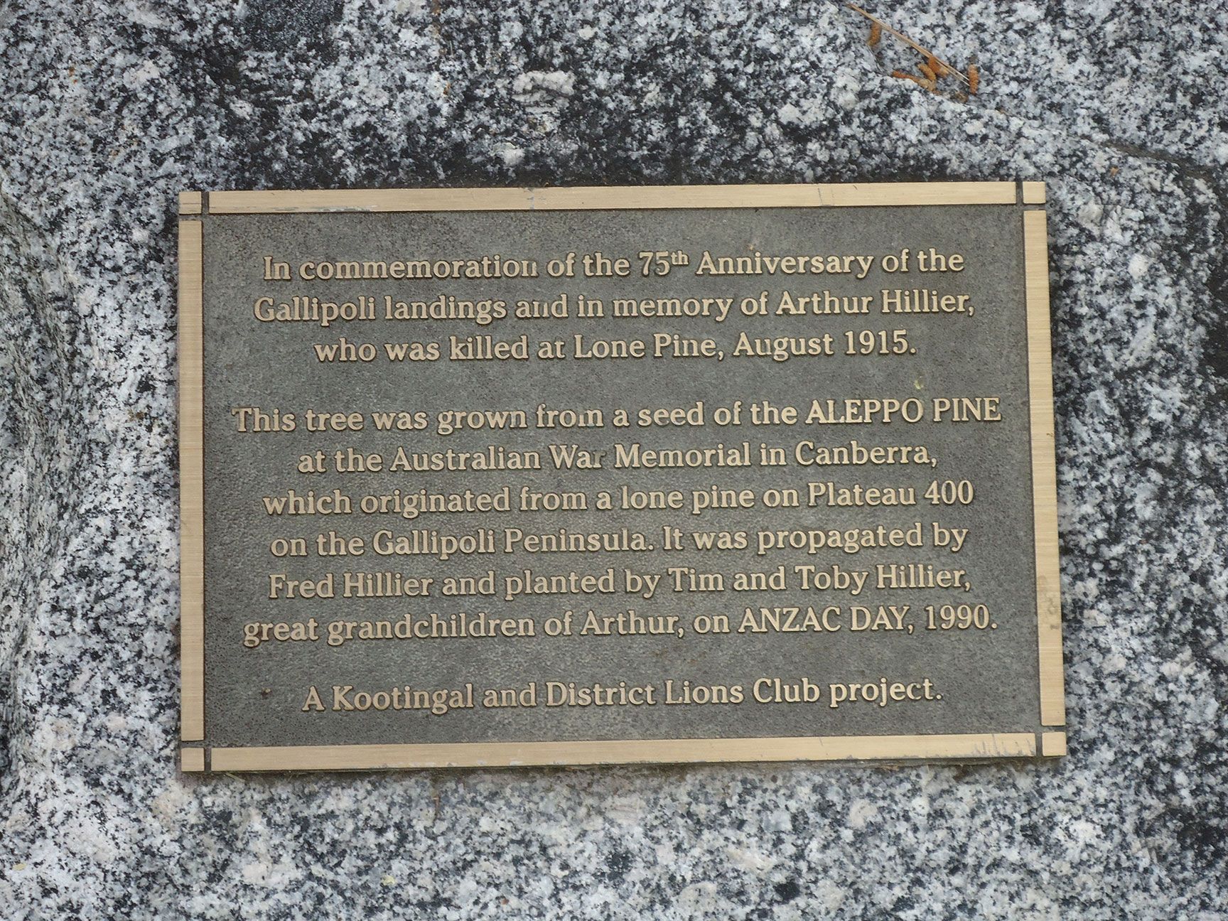 Kootingal 75th Anniversary of Gallipoli Landings and Arthur Hillier Memorial Lone Pine photo 1