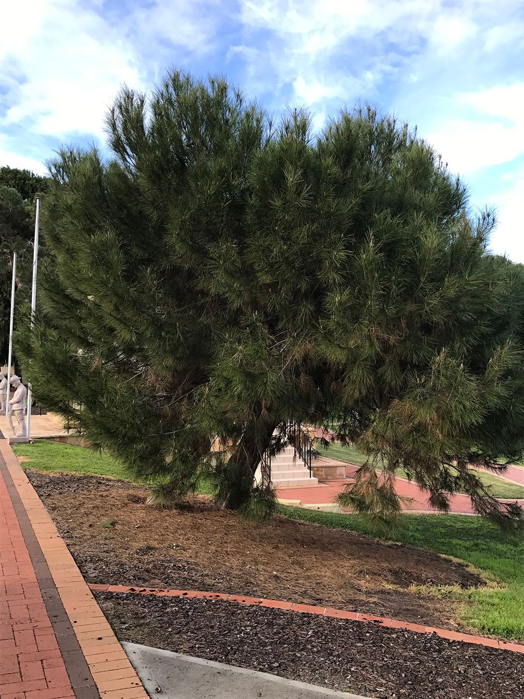 Manning Valley National Servicemen's Memorial Plaque, Taree photo 1