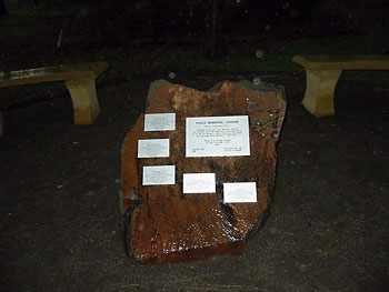 Martins Creek Public School Peace Memorial Garden photo 1