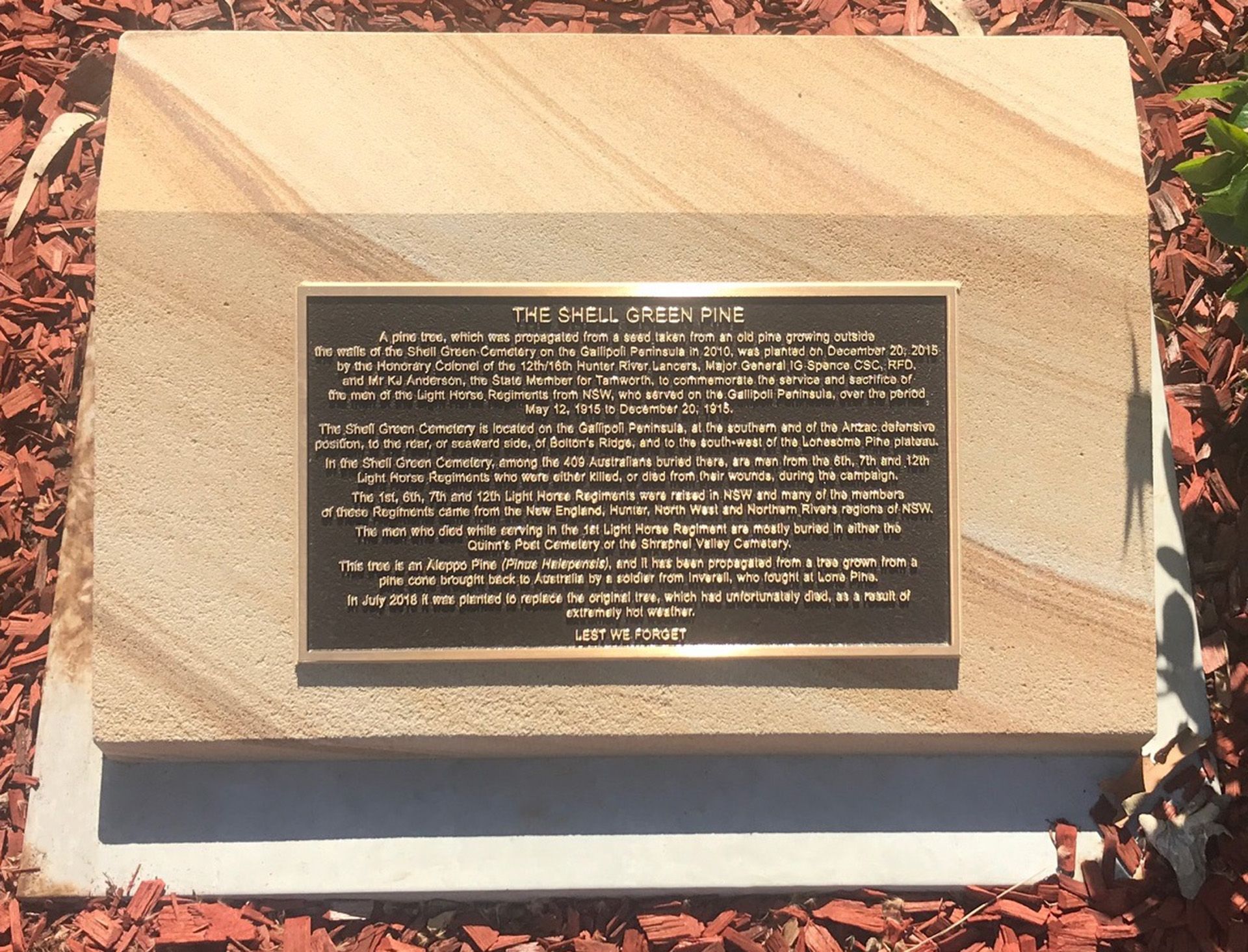 NSW Light Horse Regiments Memorial, Tamworth photo 1