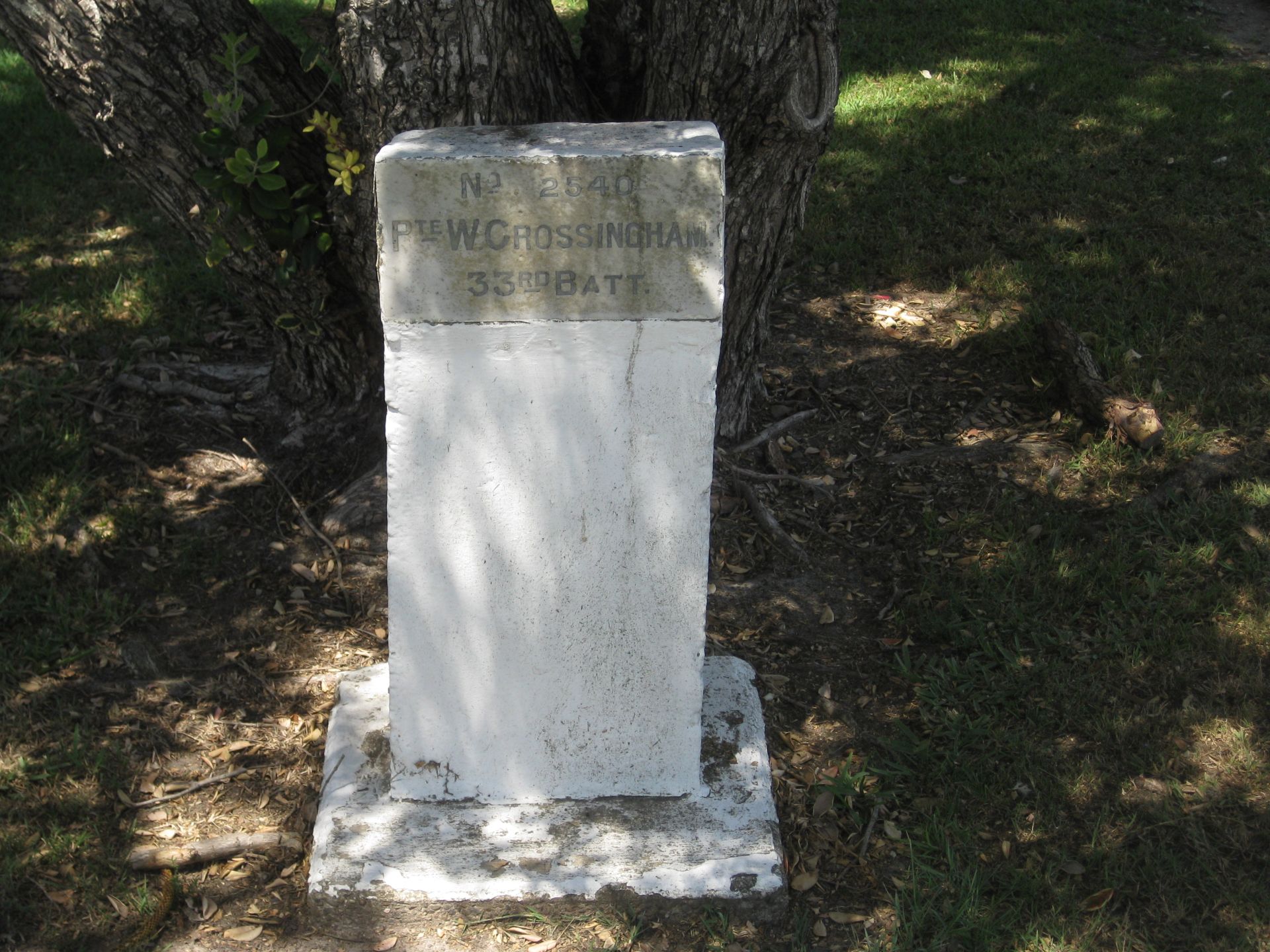 South West Rocks First World War Memorial Avenue photo 1