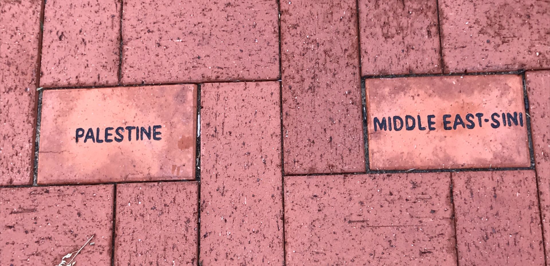 Taree Great War Memorial Walkway photo 1