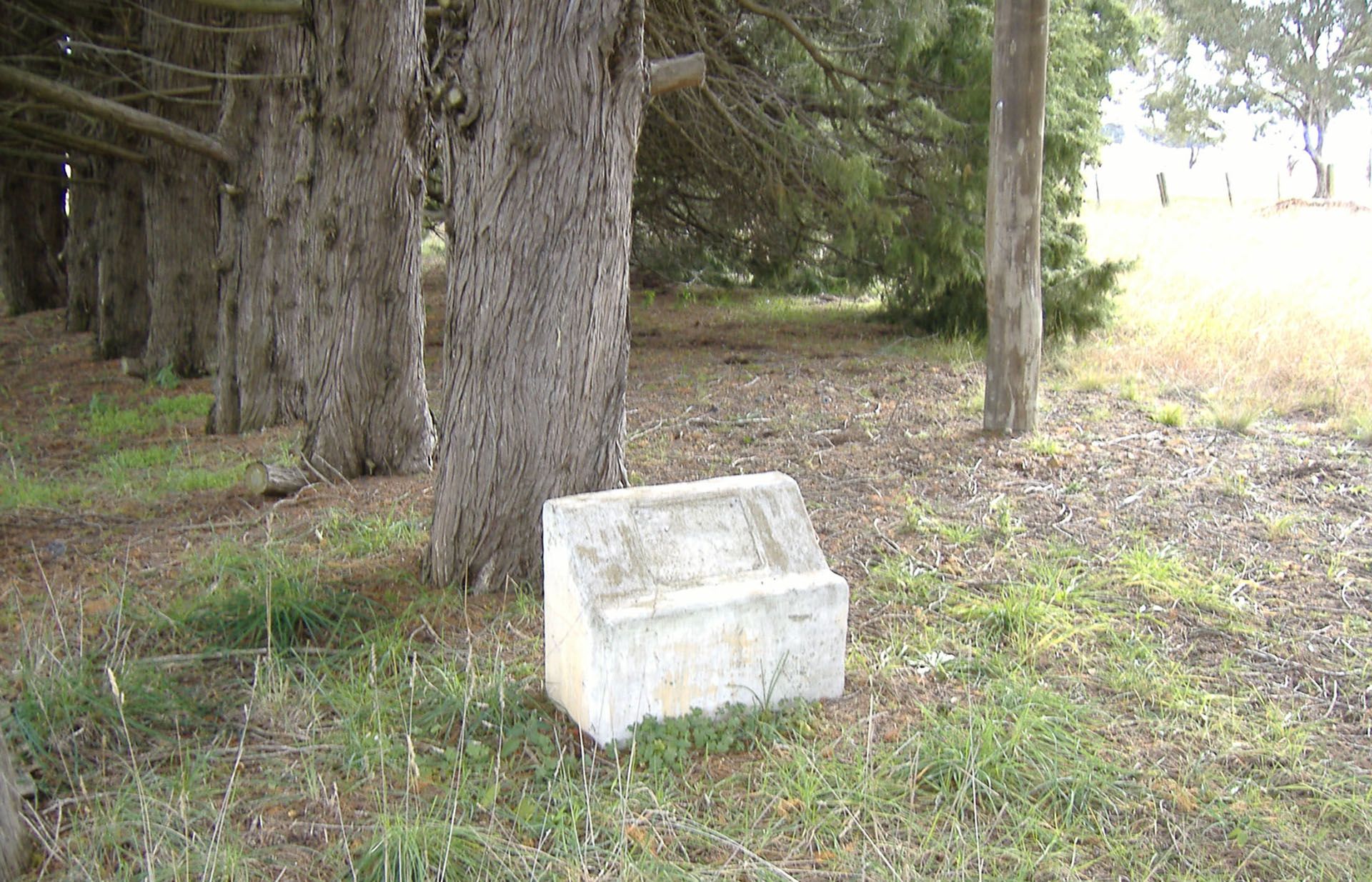 Tenterden Public School Memorial Trees, via Guyra photo 1