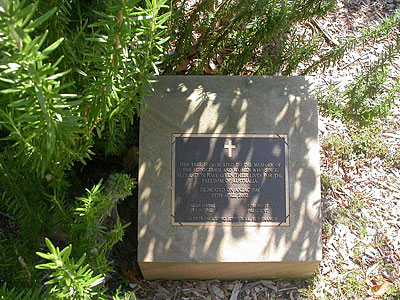 The Entrance Primary School Memorial Tree photo 1