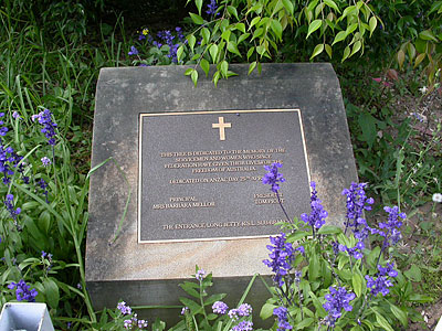 Tuggerah Lakes Secondary College, Tumbi Umbi Campus, Memorial Tree photo 1